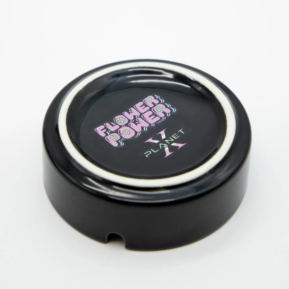Love & Leaves Ceramic Ashtray - Image 3